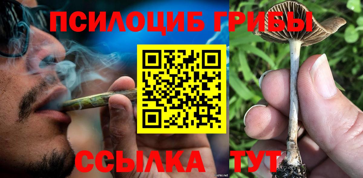 Псилоцибиновые грибы Psilocybe Артёмовский